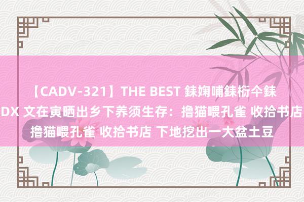 【CADV-321】THE BEST 銇婅哺銇椼仐銇俱仚銆?50浜?鏅傞枔DX 文在寅晒出乡下养须生存：撸猫喂孔雀 收拾书店 下地挖出一大盆土豆