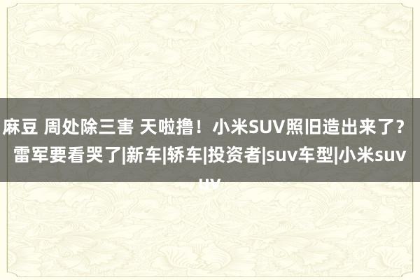 麻豆 周处除三害 天啦撸！小米SUV照旧造出来了？ 雷军要看哭了|新车|轿车|投资者|suv车型|小米suv