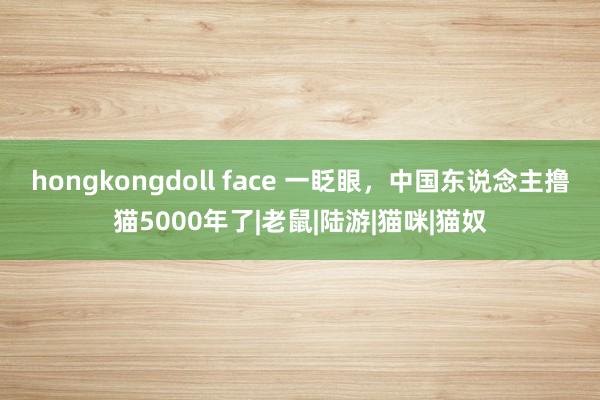 hongkongdoll face 一眨眼，中国东说念主撸猫5000年了|老鼠|陆游|猫咪|猫奴