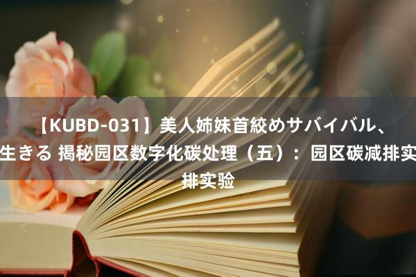 【KUBD-031】美人姉妹首絞めサバイバル、私生きる 揭秘园区数字化碳处理（五）：园区碳减排实验