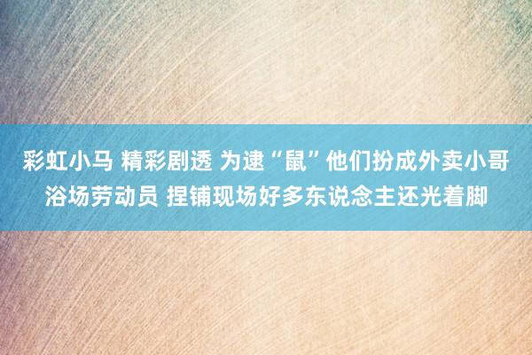 彩虹小马 精彩剧透 为逮“鼠”他们扮成外卖小哥浴场劳动员 捏铺现场好多东说念主还光着脚