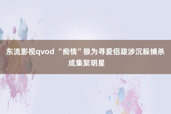 东流影视qvod “痴情”狼为寻爱侣跋涉沉躲捕杀 成集聚明星