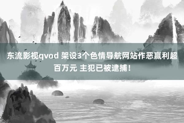 东流影视qvod 架设3个色情导航网站作恶赢利超百万元 主犯已被逮捕！