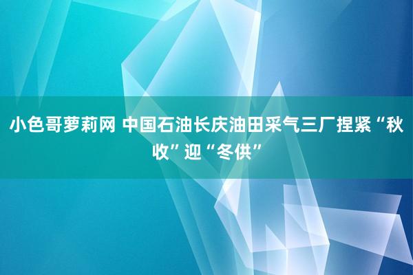 小色哥萝莉网 中国石油长庆油田采气三厂捏紧“秋收”迎“冬供”