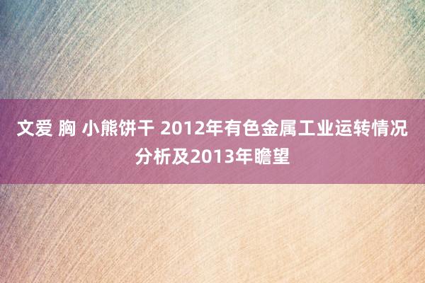 文爱 胸 小熊饼干 2012年有色金属工业运转情况分析及2013年瞻望