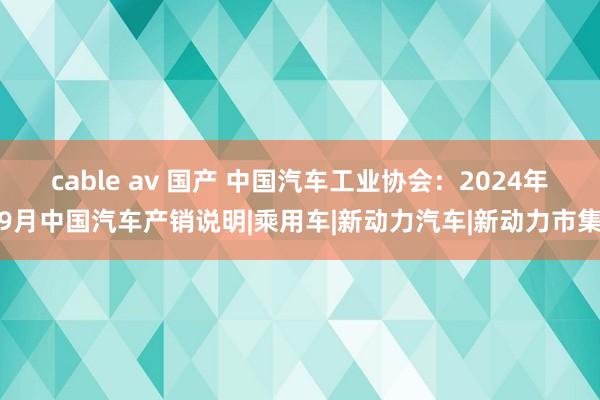 cable av 国产 中国汽车工业协会：2024年9月中国汽车产销说明|乘用车|新动力汽车|新动力市集