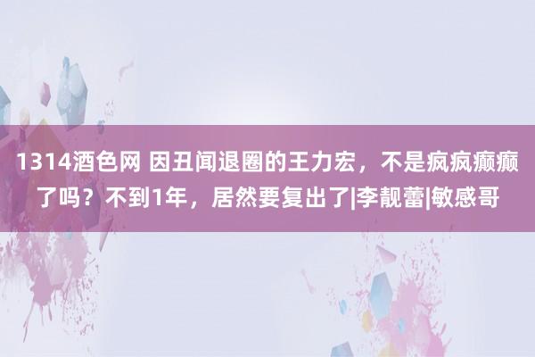 1314酒色网 因丑闻退圈的王力宏，不是疯疯癫癫了吗？不到1年，居然要复出了|李靓蕾|敏感哥