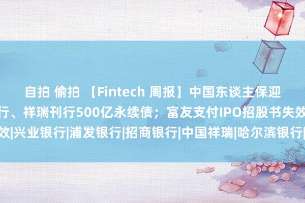 自拍 偷拍 【Fintech 周报】中国东谈主保迎首位女性“一霸手”；招行、祥瑞刊行500亿永续债；富友支付IPO招股书失效|兴业银行|浦发银行|招商银行|中国祥瑞|哈尔滨银行|中国东谈主民保障集团