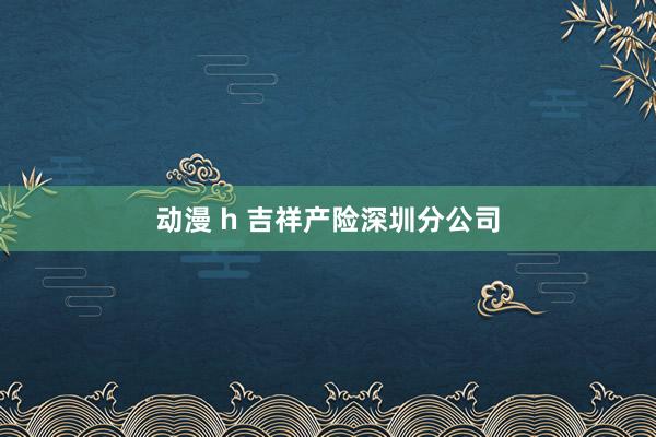 动漫 h 吉祥产险深圳分公司