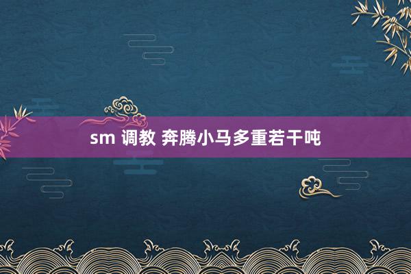 sm 调教 奔腾小马多重若干吨