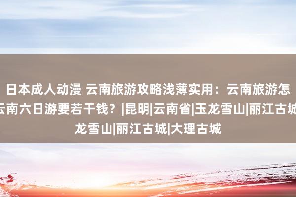 日本成人动漫 云南旅游攻略浅薄实用：云南旅游怎样预约？云南六日游要若干钱？|昆明|云南省|玉龙雪山|丽江古城|大理古城