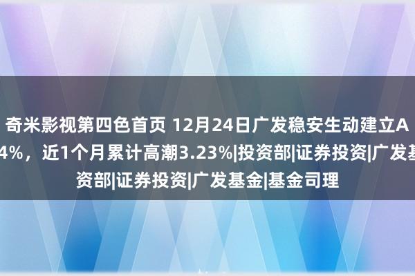 奇米影视第四色首页 12月24日广发稳安生动建立A净值增长0.94%，近1个月累计高潮3.23%|投资部|证券投资|广发基金|基金司理