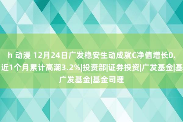 h 动漫 12月24日广发稳安生动成就C净值增长0.94%，近1个月累计高潮3.2%|投资部|证券投资|广发基金|基金司理